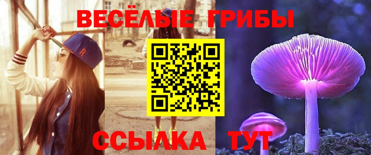 Псилоцибиновые грибы Magic Shrooms  Вход с VPN  Тула 